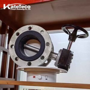 Worm Gear Flanged Butterfly Valve