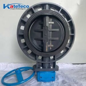UPVC Worm Gear Butterfly Valve D371X-10S