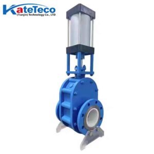 Pneumatic ceramic double disc gate valve