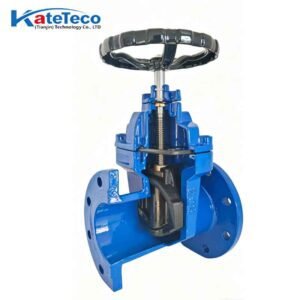 Ductile iron flanged gate valve