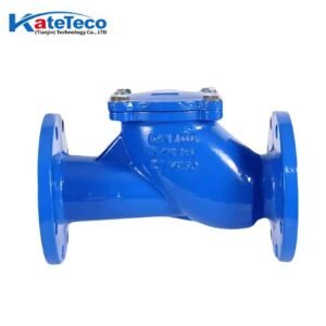 Ball check valve HQ41X-16Q