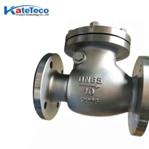 Stainless steel swing check valve H44W-16P