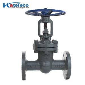 Cast steel rising stem flanged gate valve Z41H-16C