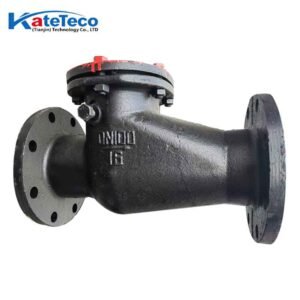 Swing check valve H44T-16