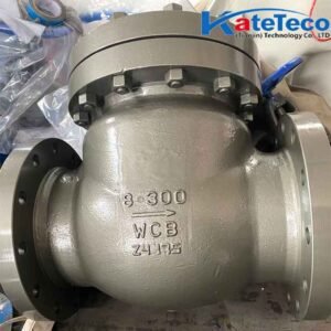 Cast steel swing check valve H44H-16C