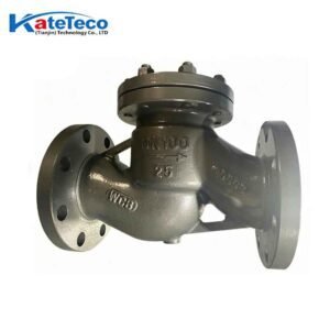 Cast steel lift check valve H41H-16C
